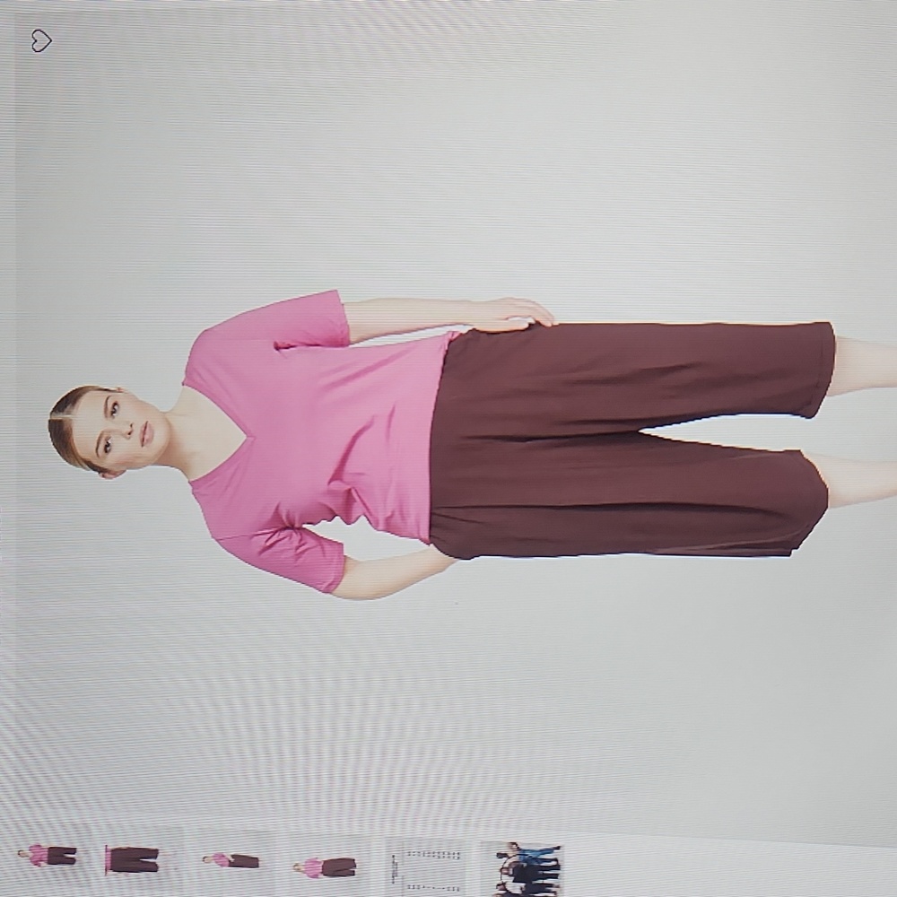 BNWT-UNIVERSAL STANDARD Small culoutte in brulee